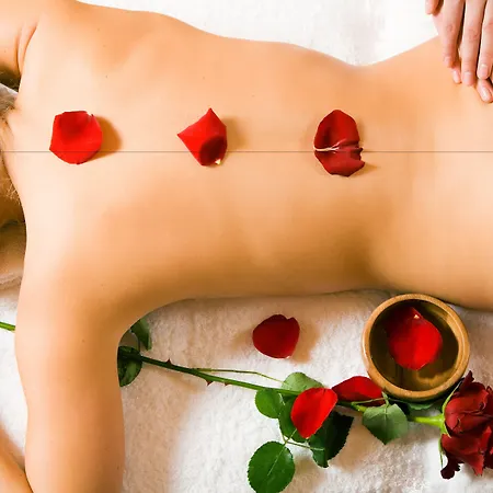 Hébergement de vacances Naturhotel Schuetterbad 4*