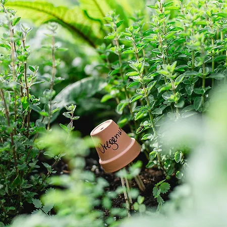 בית נופש Naturhotel Schuetterbad 4*