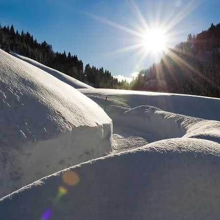Naturhotel Schuetterbad בית נופש 4*