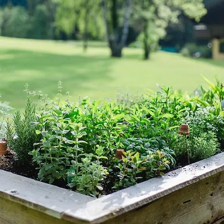 Naturhotel Schuetterbad Holiday home Unken