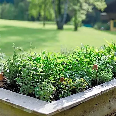 Hébergement de vacances Naturhotel Schuetterbad 4*