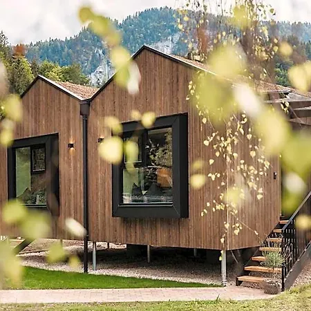度假居 Naturhotel Schuetterbad 温肯