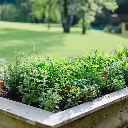 Naturhotel Schuetterbad Holiday home Unken
