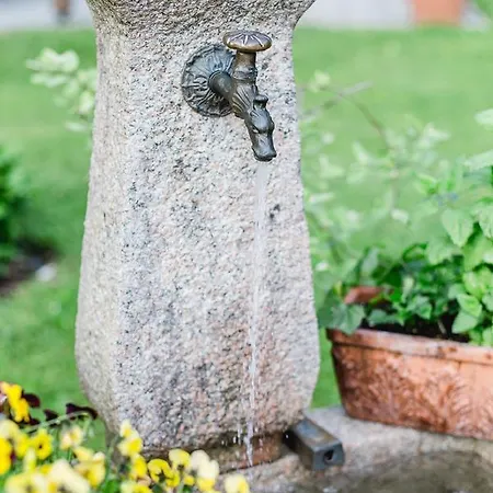Дом отдыха Naturhotel Schuetterbad Ункен