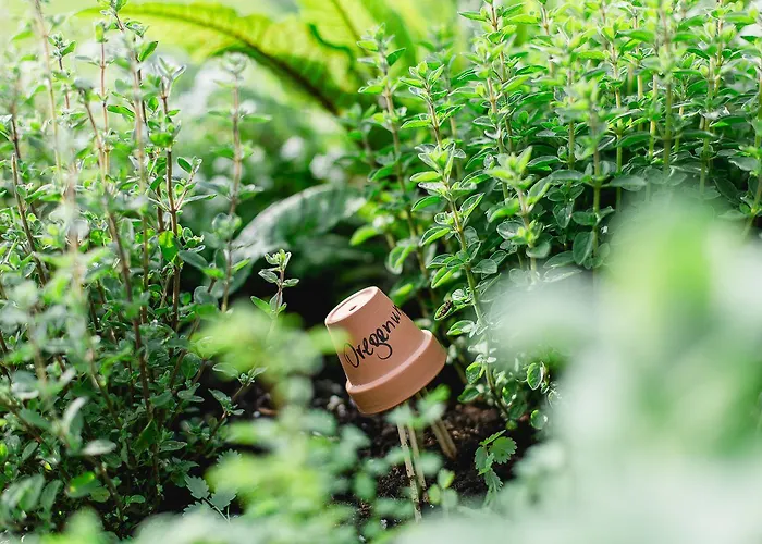 Holiday home Naturhotel Schuetterbad 4*