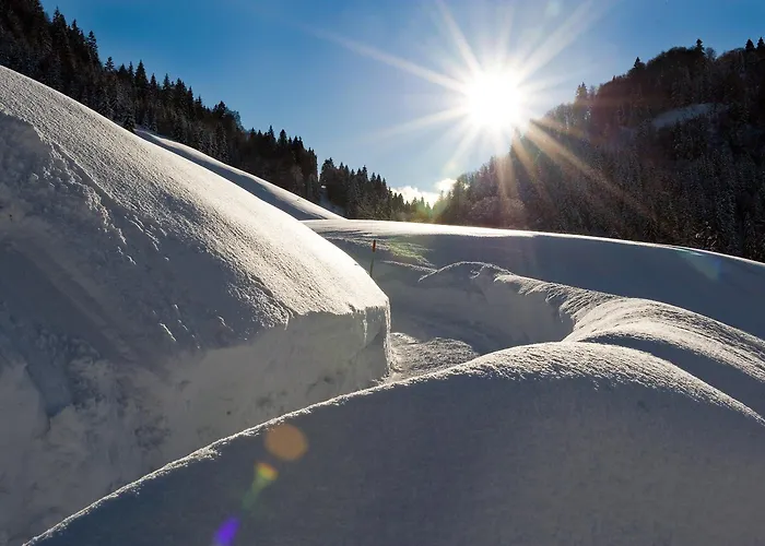 Naturhotel Schuetterbad Holiday home 4*