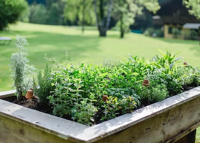 Naturhotel Schuetterbad Prázdninový dům Unken