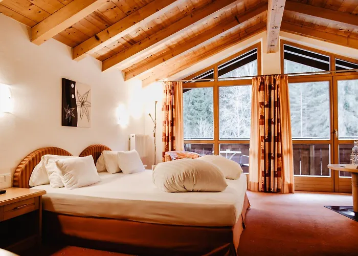 Prázdninový dům Naturhotel Schuetterbad 4*